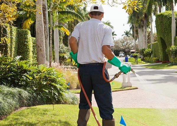 About Pleasant Grove CA Pest Control